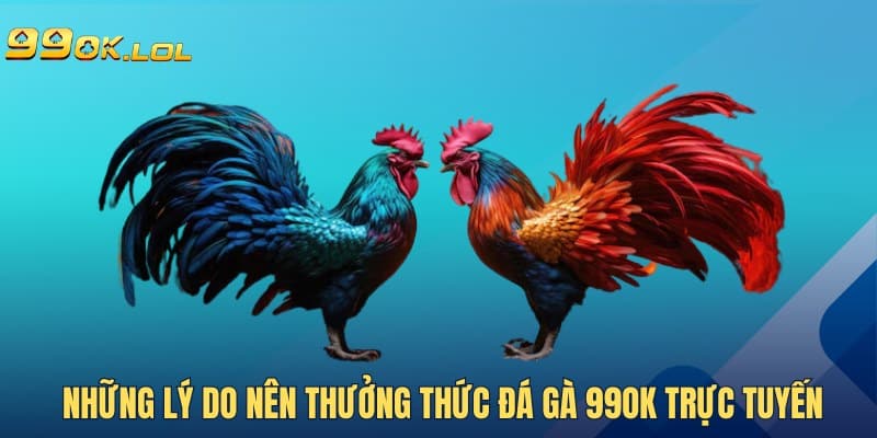 Những lý do nên thưởng thức Đá Gà 99OK trực tuyến